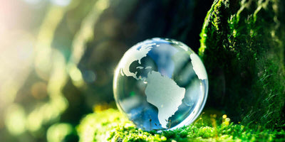 CES 2020: Paving The Road To Sustainability