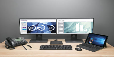 White Paper: Display Interfaces 101 – The past, present and future of display standards